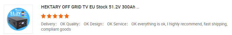 Customer review screenshot